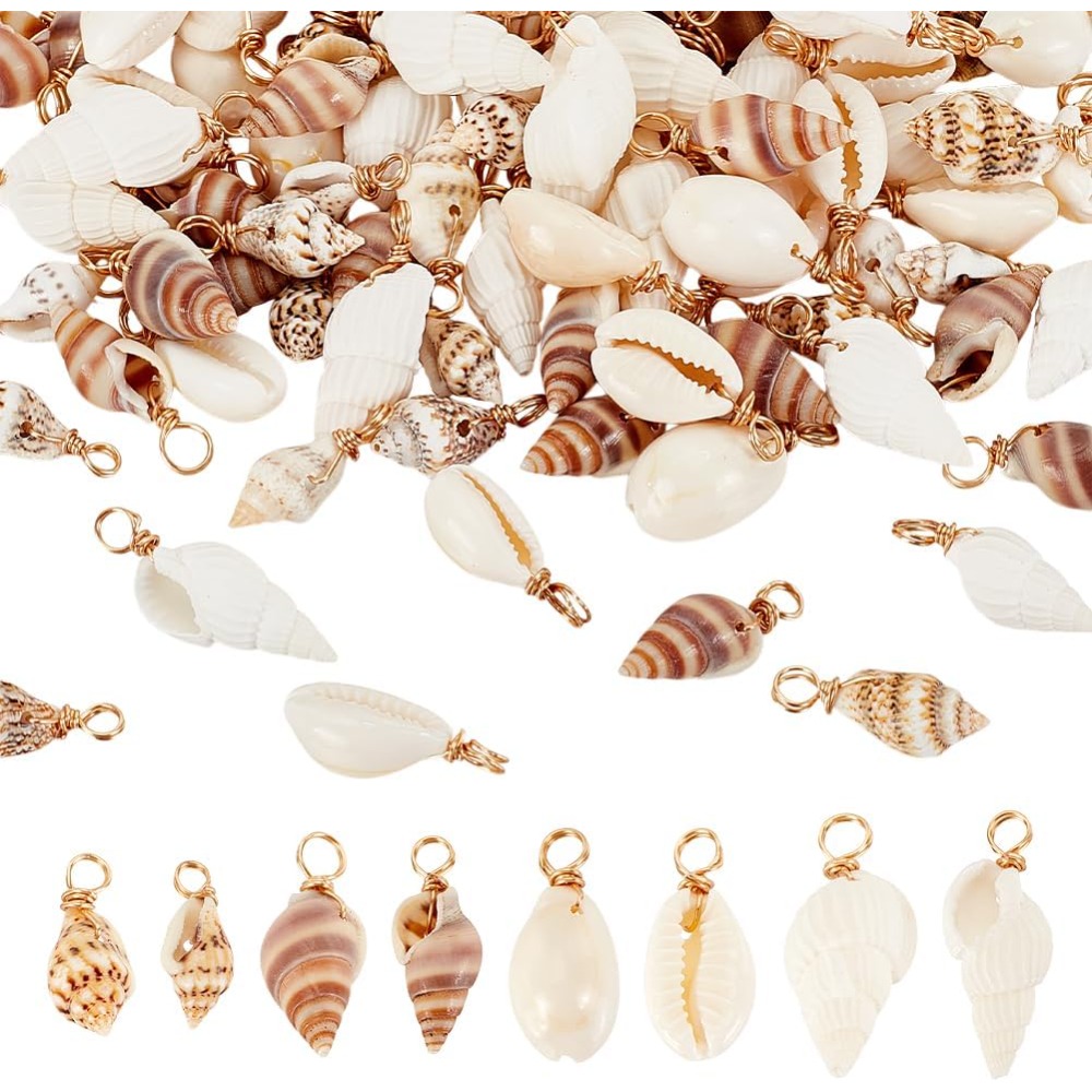 Jewelry Making Kit For Beginners - 100 قطعة 4 أنماط قذيفة الطبيعية