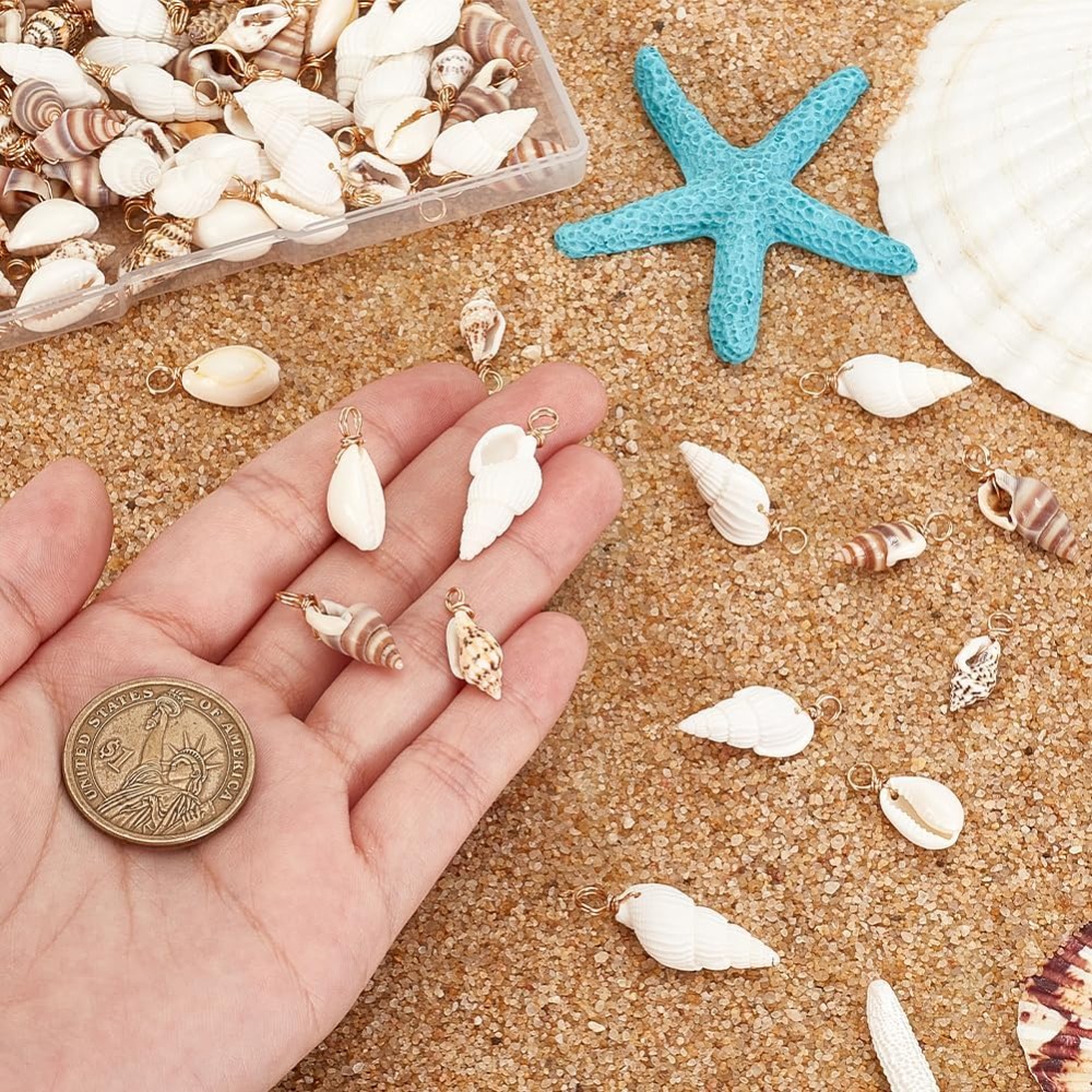 100 قطعة 4 أنماط قذيفة الطبيعي - مراجعة Jewelry Making Kit For Beginners وسعره