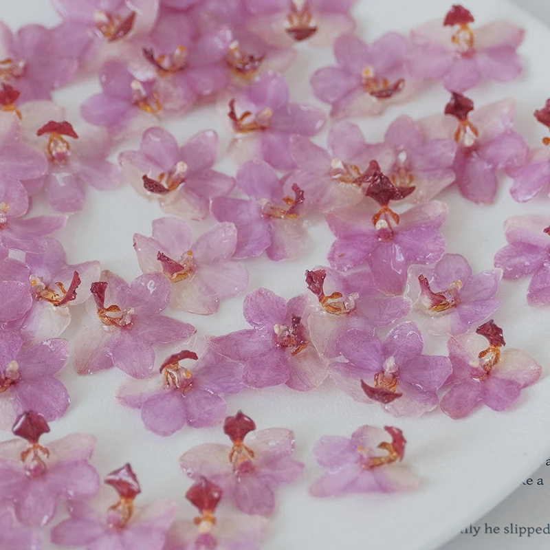 DIY مجوهرات الطبيعية الوردي ال - مراجعة Jewelry Making Event وسعره