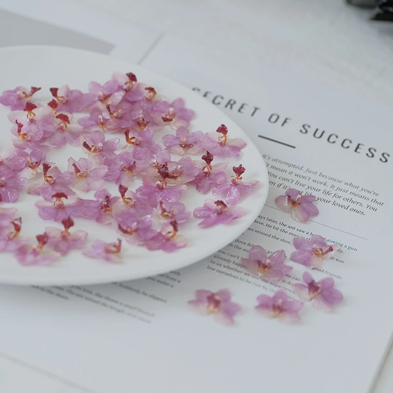 DIY مجوهرات الطبيعية الوردي ال - مراجعة Jewelry Making Event وسعره